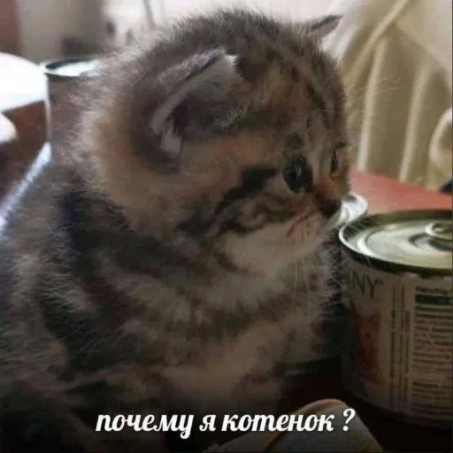 Sticker lucrinhefree - 1