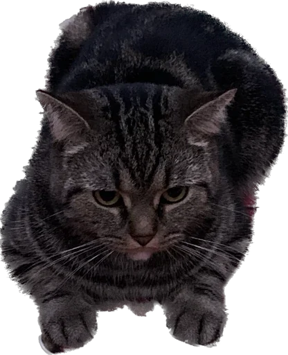 Sticker lucrinhefree - 1