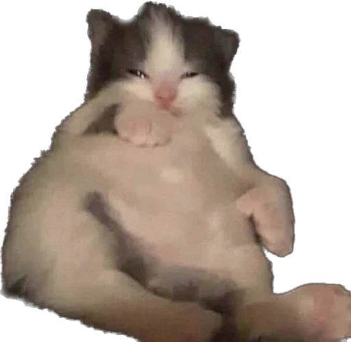 Sticker lucrinhefree - 1