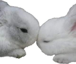 Sticker CringefeSt - 3