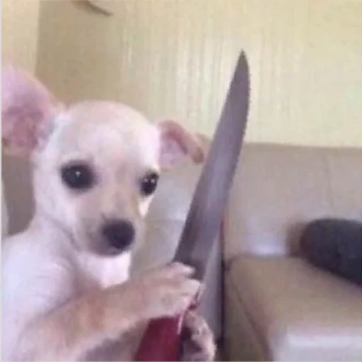 Стикер ludicrous animals - 7