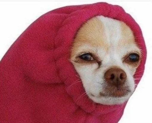 Стикер ludicrous animals - 2