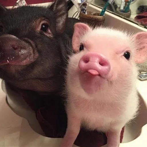 Стикер ludicrous animals - 0