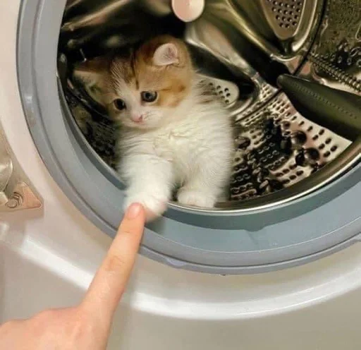 кухонный прибор приспособление кошка