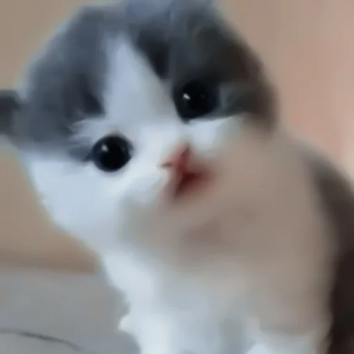 кошка млекопитающее животное