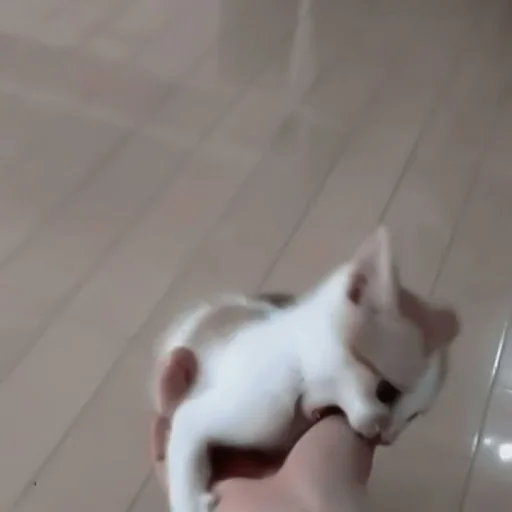 животное млекопитающее кошки малого и среднего размера