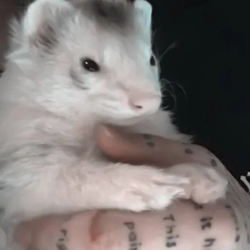 Стикер #ashisland meme «🩹 by @lumicore_present - 4