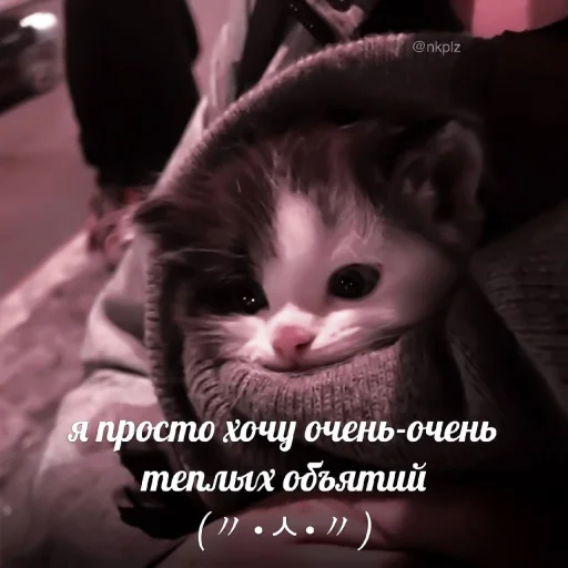 Sticker #namjoon meme «😼 by @lumicore_present - 1