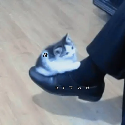 обувь туфля обувь