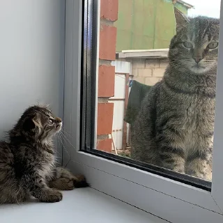 Sticker Луна 🌚 - 3