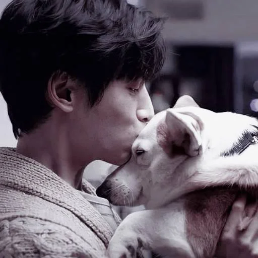 « luo yunxi » :: @ryohomee - 