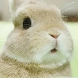 Стикер я помнил все и все забыл - 11