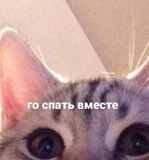 Sticker мангалкин - 2