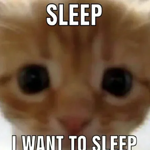 СМС млекопитающее животное