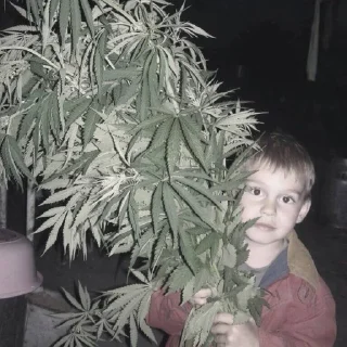 Стикер н1 милашка снг ♡ - 8