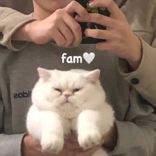 Стикер н1 милашка снг ♡ - 4