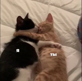 Стикер н1 милашка снг ♡ - 2