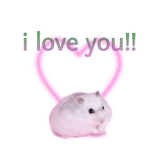 люб♡вь от @kittysscryng :: @fStikBot - СМС