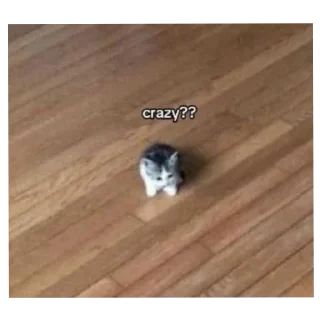 Стикер Больше стиков тут: @stikery4 - 3