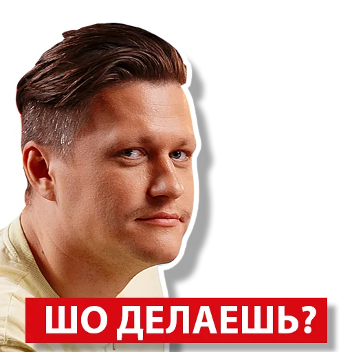 Sticker ЛЬВЫ НА ДЖИПЕ - 11