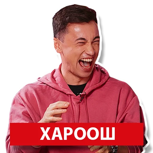 Sticker ЛЬВЫ НА ДЖИПЕ - 4