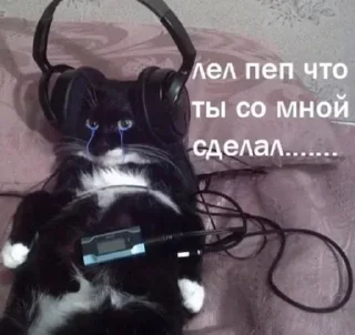 Стикер Лучьше стикеры - @lovesticers - 10