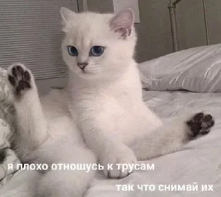 Стикер Лучьше стикеры - @lovesticers - 8