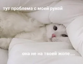 Стикер Лучьше стикеры - @lovesticers - 6