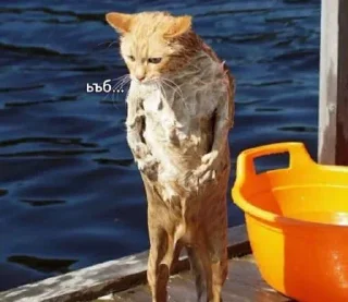 Стикер Лучьше стикеры - @lovesticers - 5