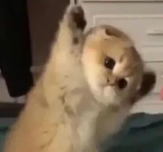 Стикер Лучьше стикеры - @lovesticers - 3