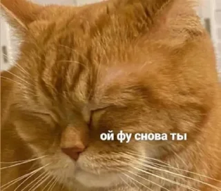 Стикер Лучьше стикеры - @lovesticers - 2