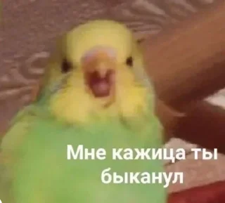 Стикер Лучьше стикеры - @lovesticers - 11