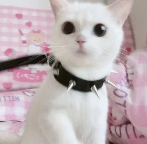 Sticker lwodpwoxpc - 1