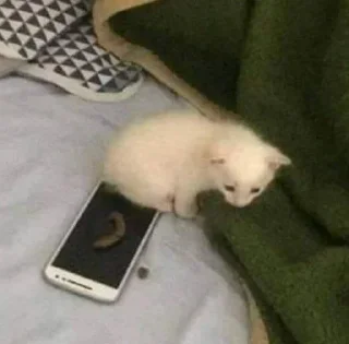 Стикер kit >< ꒰ 𖥔 ִ ་ @mrmikkolt  ꒱ - 2