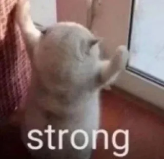 Стикер kit >< ꒰ 𖥔 ִ ་ @mrmikkolt  ꒱ - 1