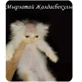 Стикер Bruh.. - 4