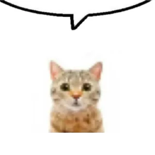 Sticker лекси ка - 5