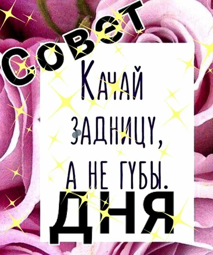 СМС цветок плакат