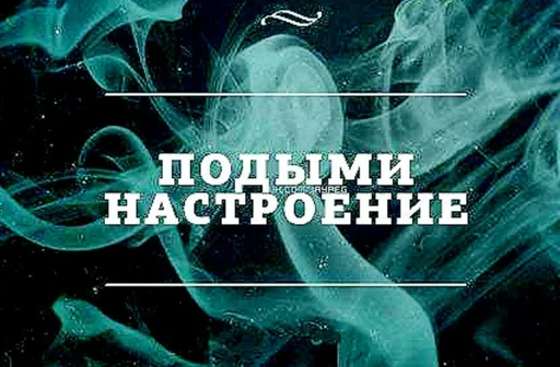 СМС скриншот графика