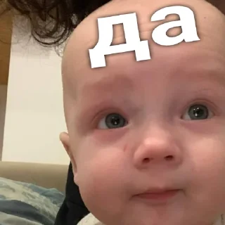 Sticker Лука гуль.. | 🌫 - 0