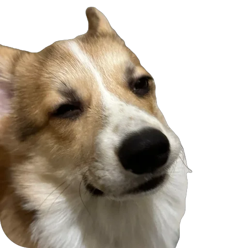 Sticker lyonya170 - 1