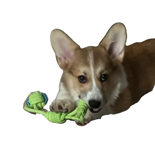 Sticker lyonya170 - 1