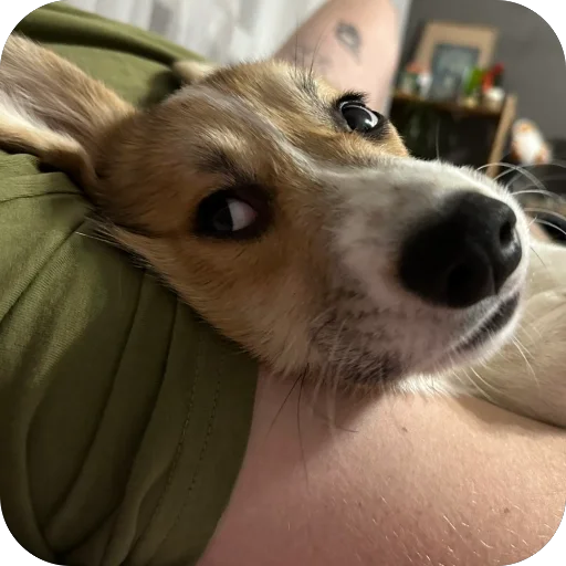 Sticker lyonya170 - 1