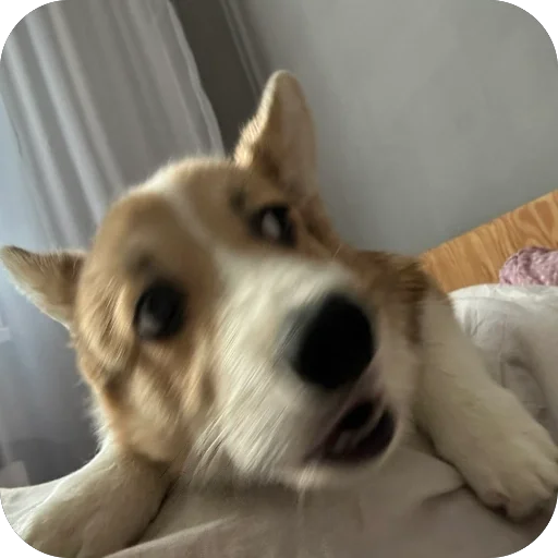 Sticker lyonya170 - 1