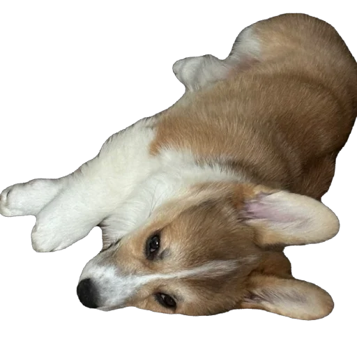 Стикер lyonya170 - 1