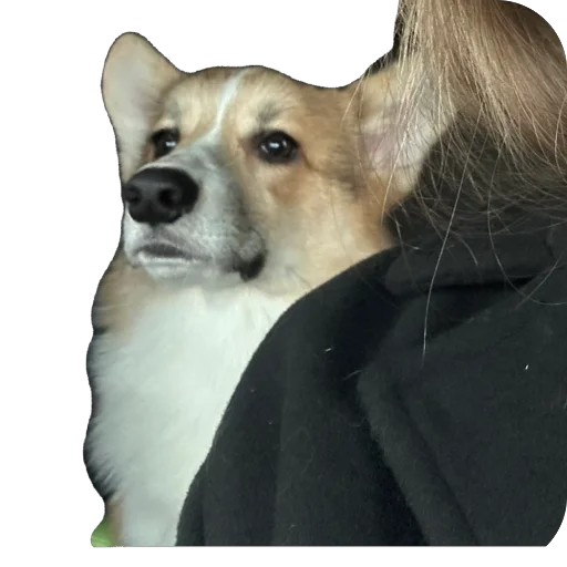 Sticker lyonya170 - 1