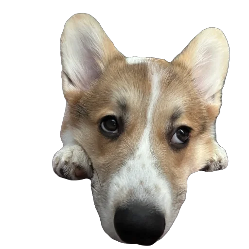 Sticker lyonya170 - 1