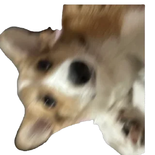 Sticker лёня - 0