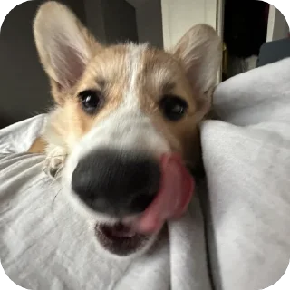 Sticker лёня - 5