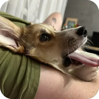 Sticker лёня - 2